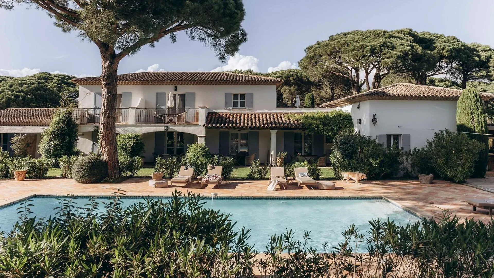 La Villa D\'Andrea contacts